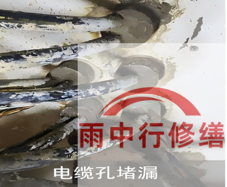 滨海电缆线空洞堵漏加固案例